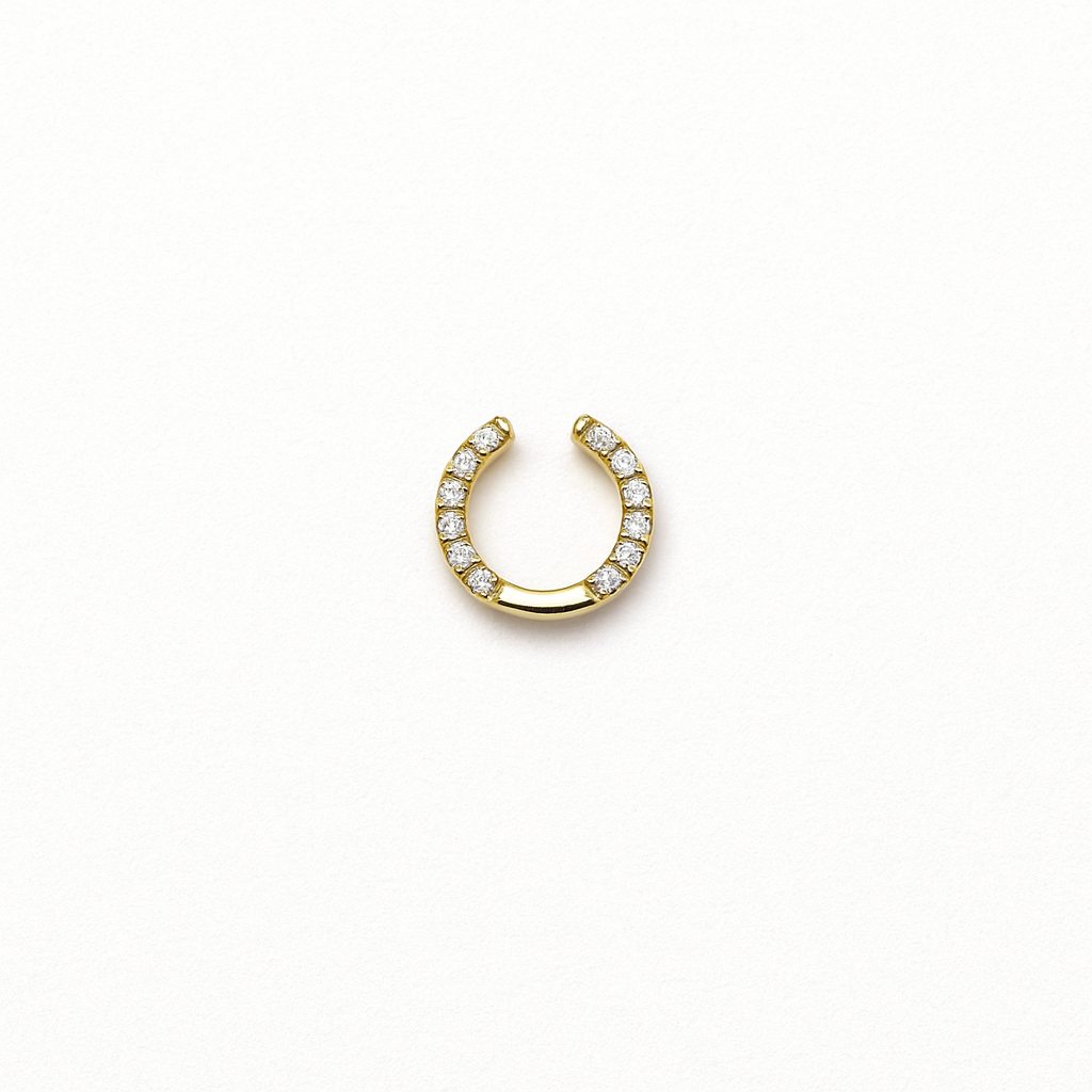 HORSESHOE CHARM