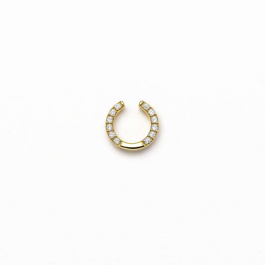 HORSESHOE CHARM